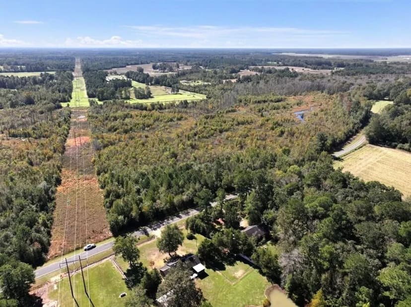 58.4 Acres of Recreational Timberland For Sale in Bladen County NC!