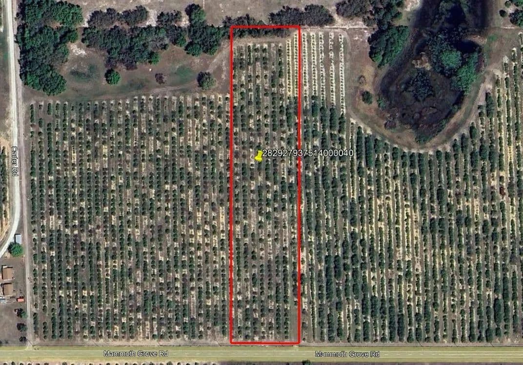 Mammoth Grove Road Lot 4 - Lake Wales, Florida, 33898