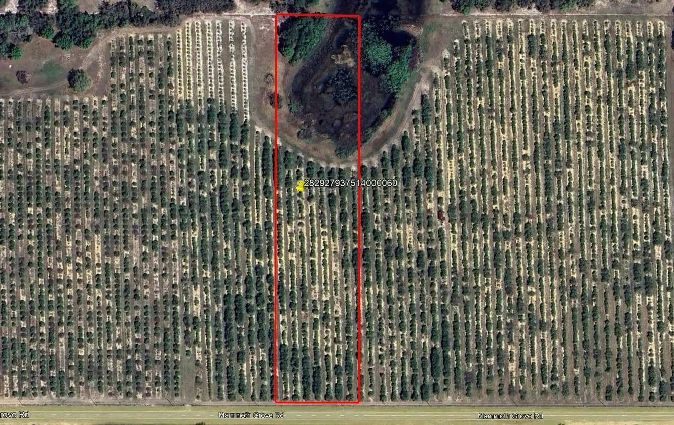 Mammoth Grove Road Lot 6 - Lake Wales, Florida, 33898