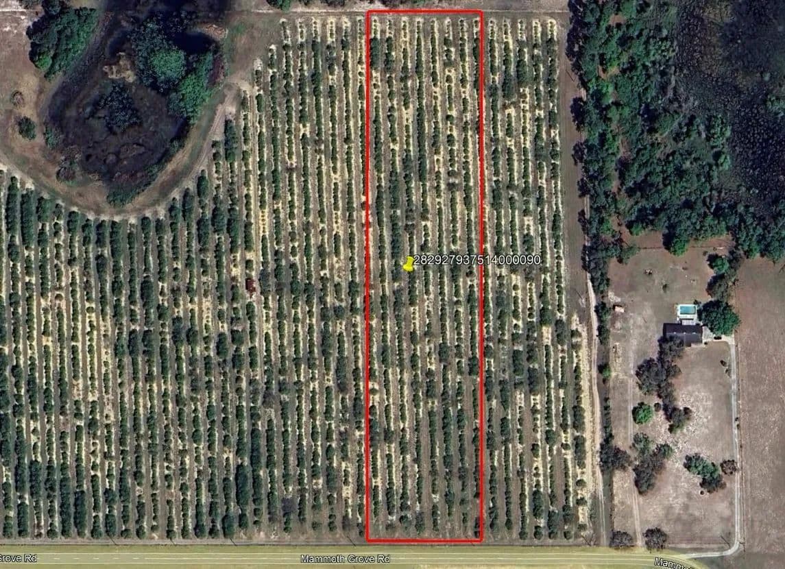 Mammoth Grove Road Lot 9 - Lake Wales, Florida, 33898