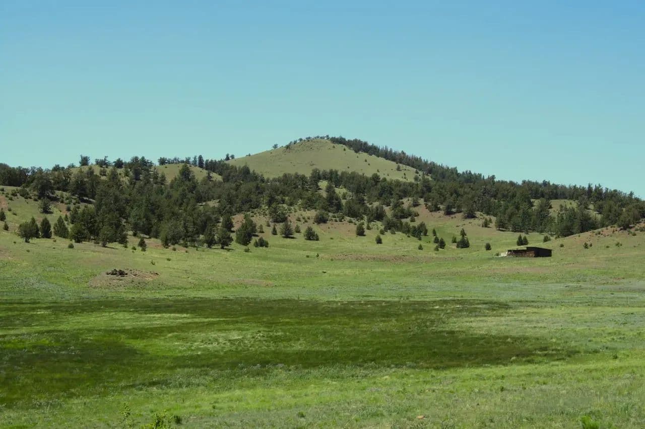 Current Creek Ranch - Guffey, Colorado, 80820