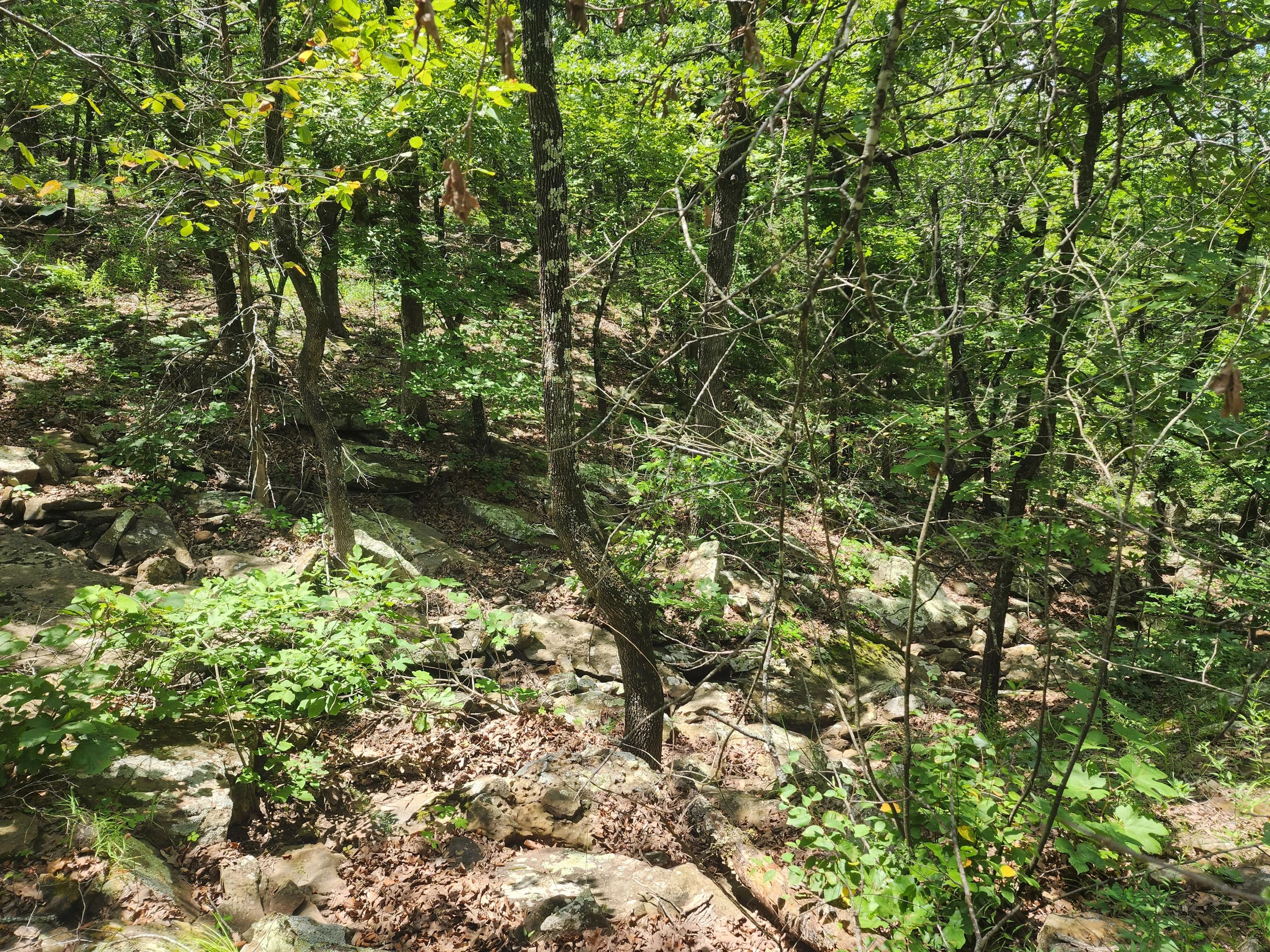 Hughes County 6.49+/-acres - Stuart, Oklahoma, 74570