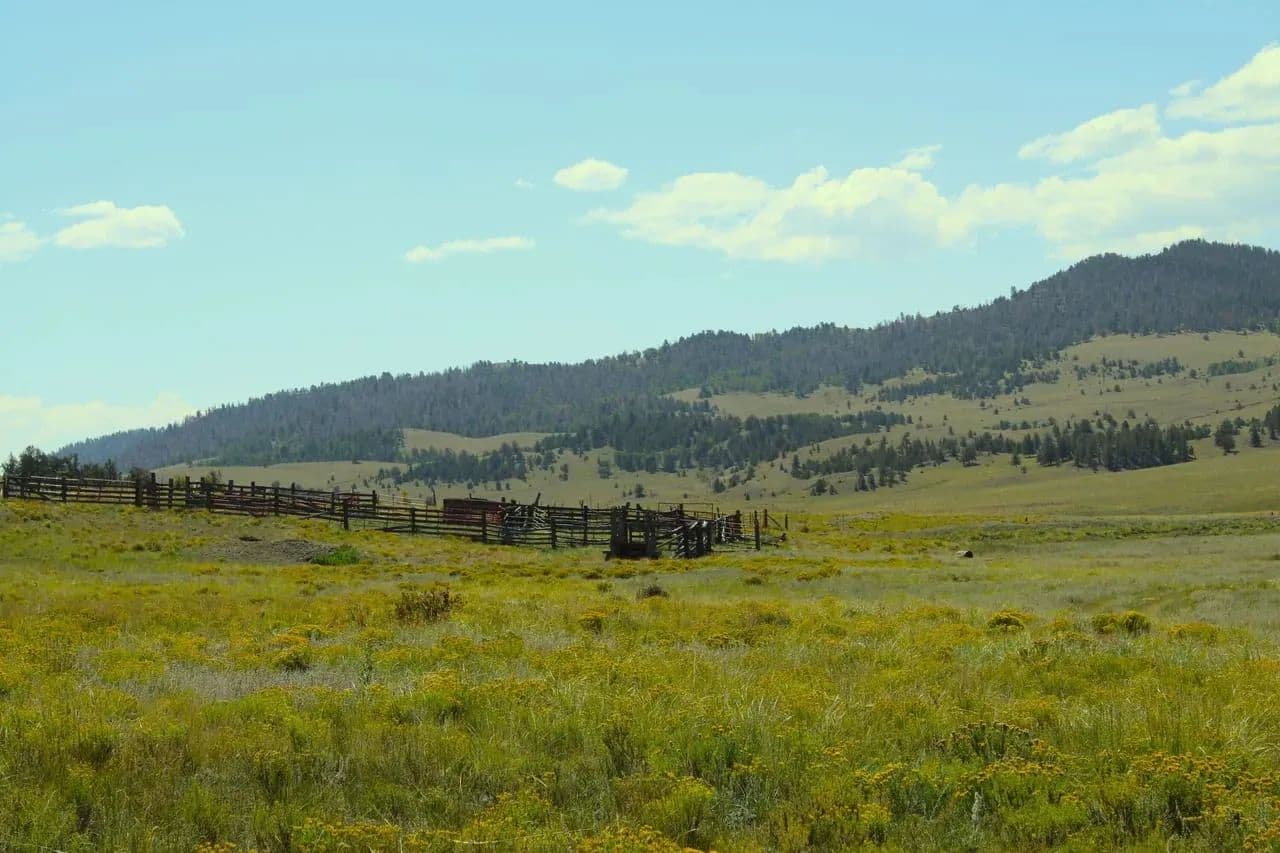 Current Creek Ranch East - Guffey, Colorado, 80820