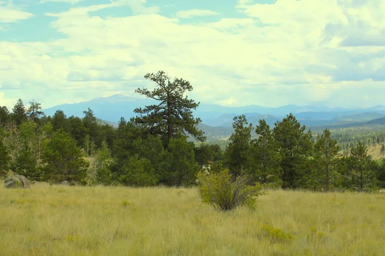 Wilkerson Pass Inholding - Lake George, Colorado, 80827