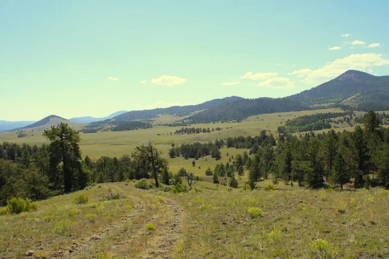 Current Creek Ranch West - Guffey, Colorado, 80820