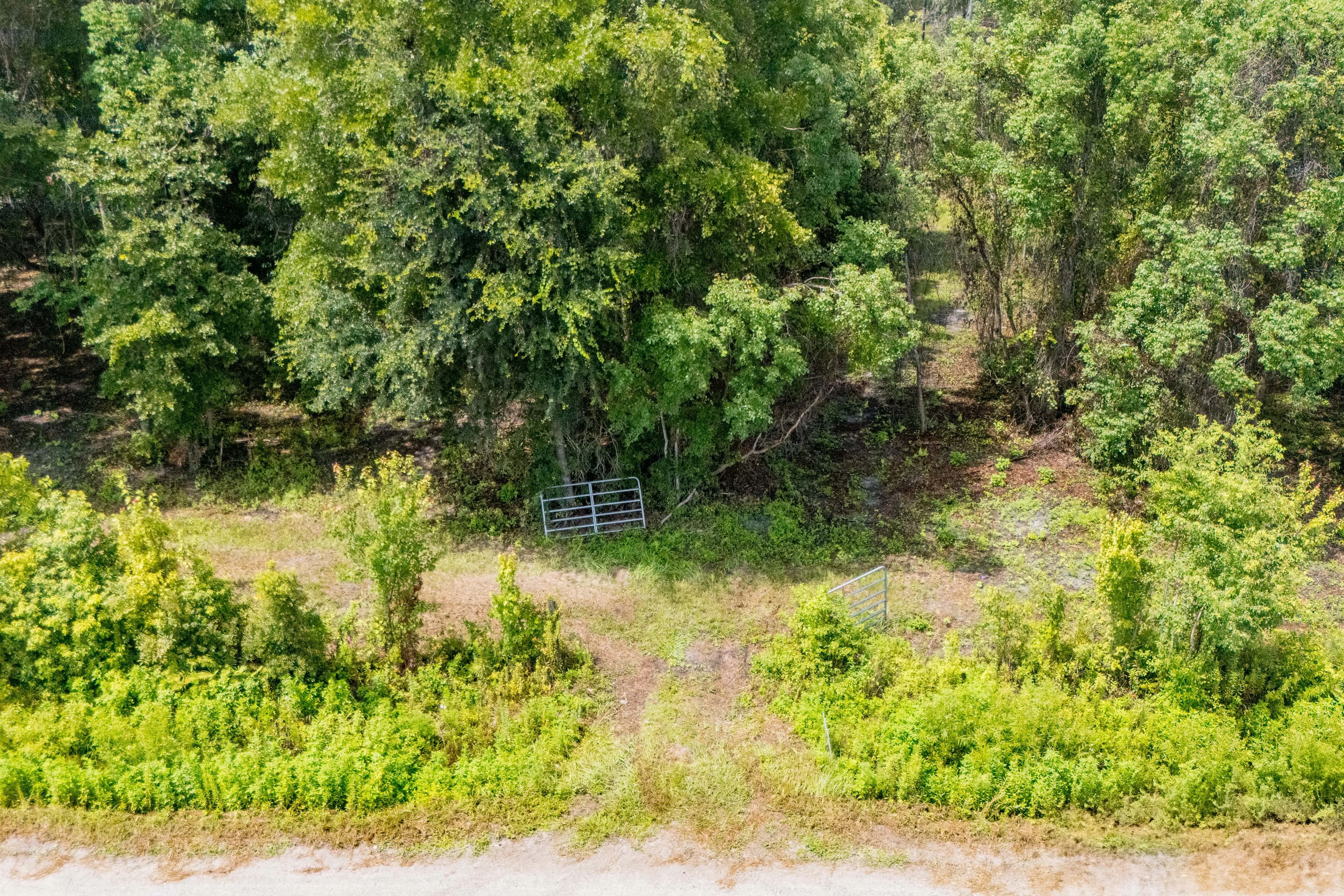 North Florida Land for Sale - 5.4 Acres with Homesite & Farm Potential! - Starke, Florida, 32091
