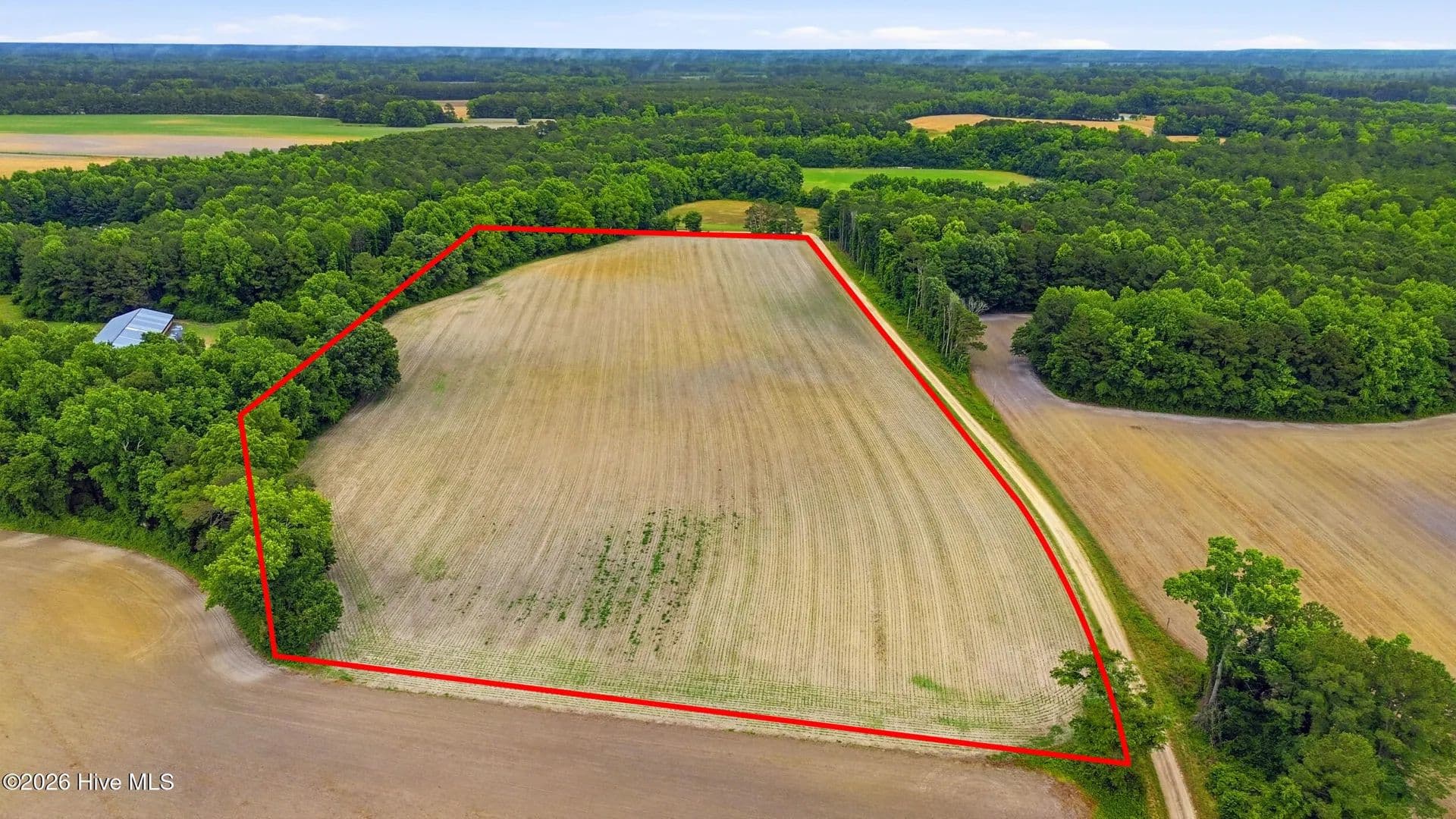26.8 Acres of Land for Sale in Council, NC - Council, North Carolina, 28434