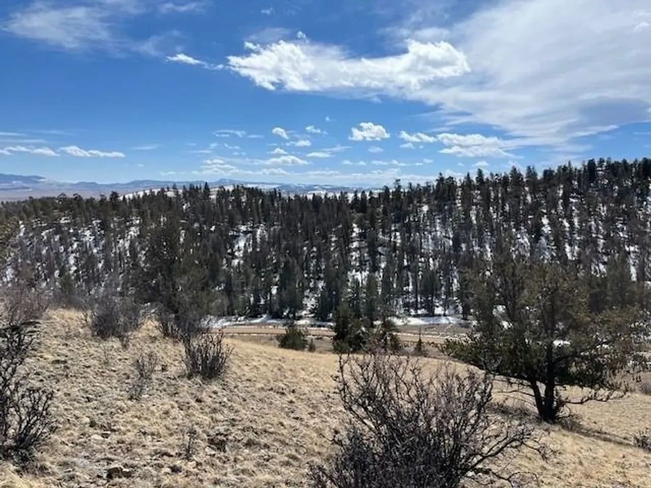 Summit Alpine Retreat - Hartsel, Colorado, 80449