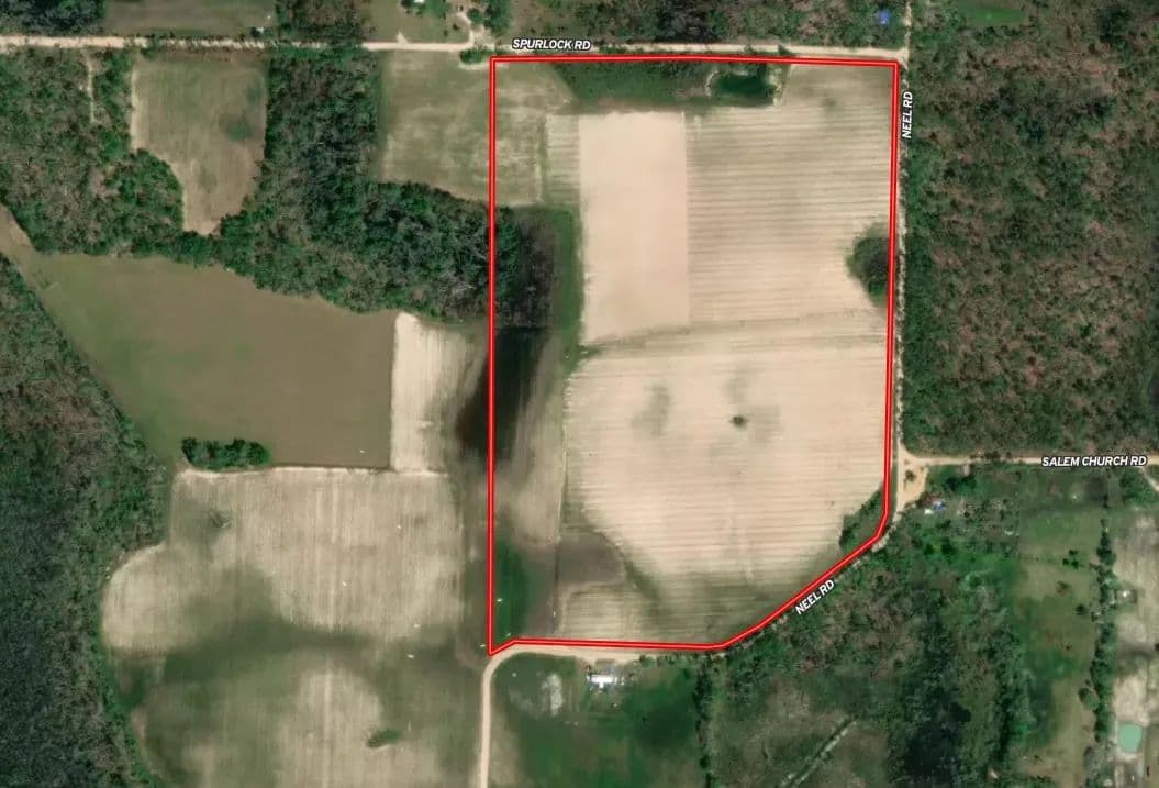 65 Acres Near Lake Seminole – Hunting and Recreation Land - Grand Ridge, Florida, 32442
