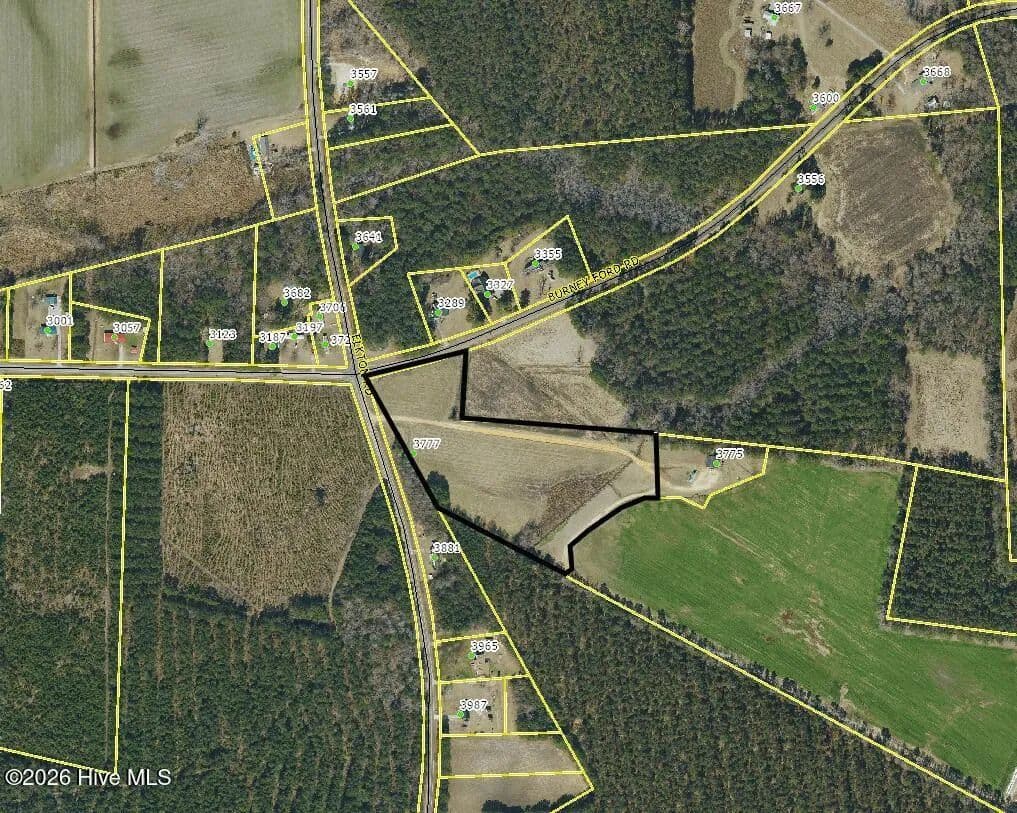 9.5 Acres of Land for Sale in Clarkton, North Carolina - Clarkton, North Carolina, 28433