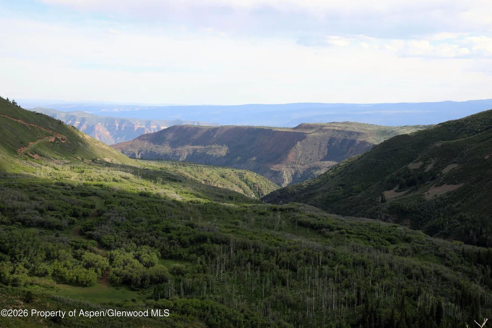 1515 Acres of Land for Sale in Glade Park, Colorado - Glade Park, Colorado, 81523