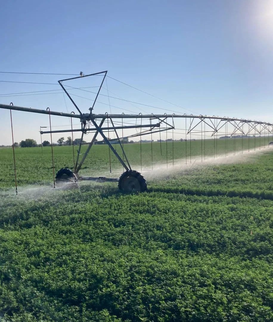 South Swink Farm & Grow Yard - La Junta, Colorado, 81050