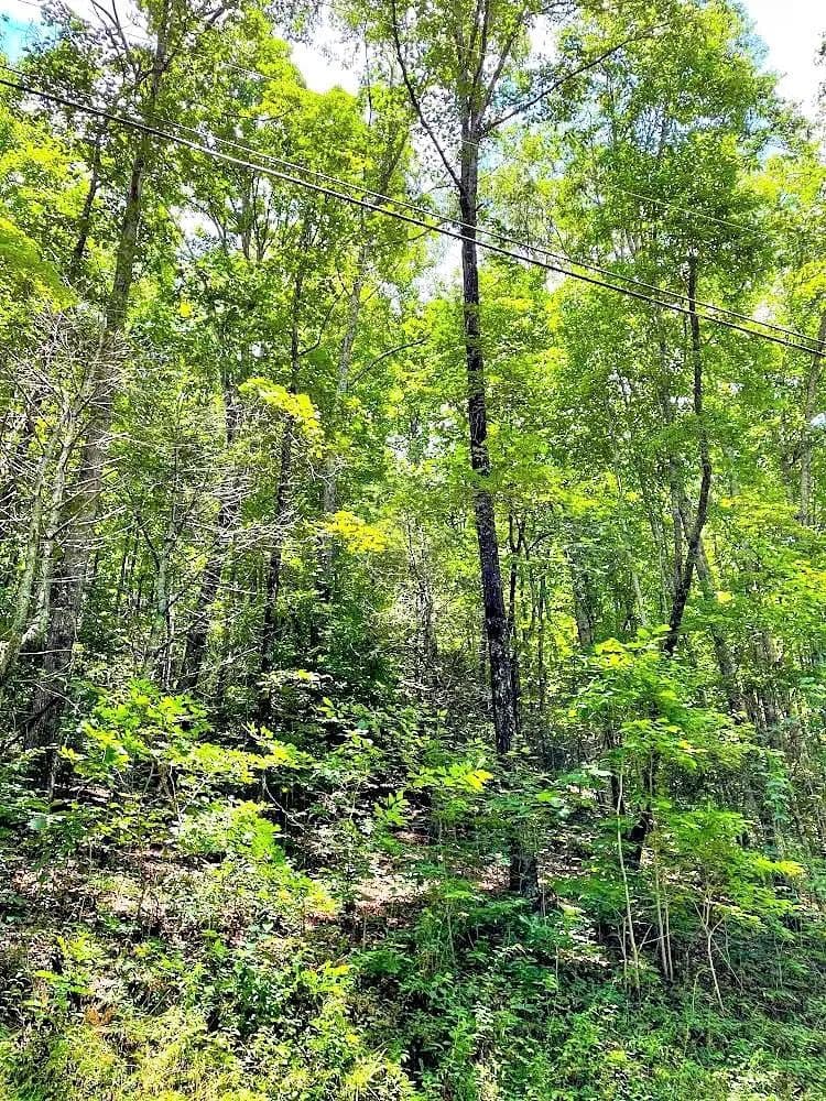 Rabun Co. Mountain Land with Views - Rabun Gap, Georgia, 30568
