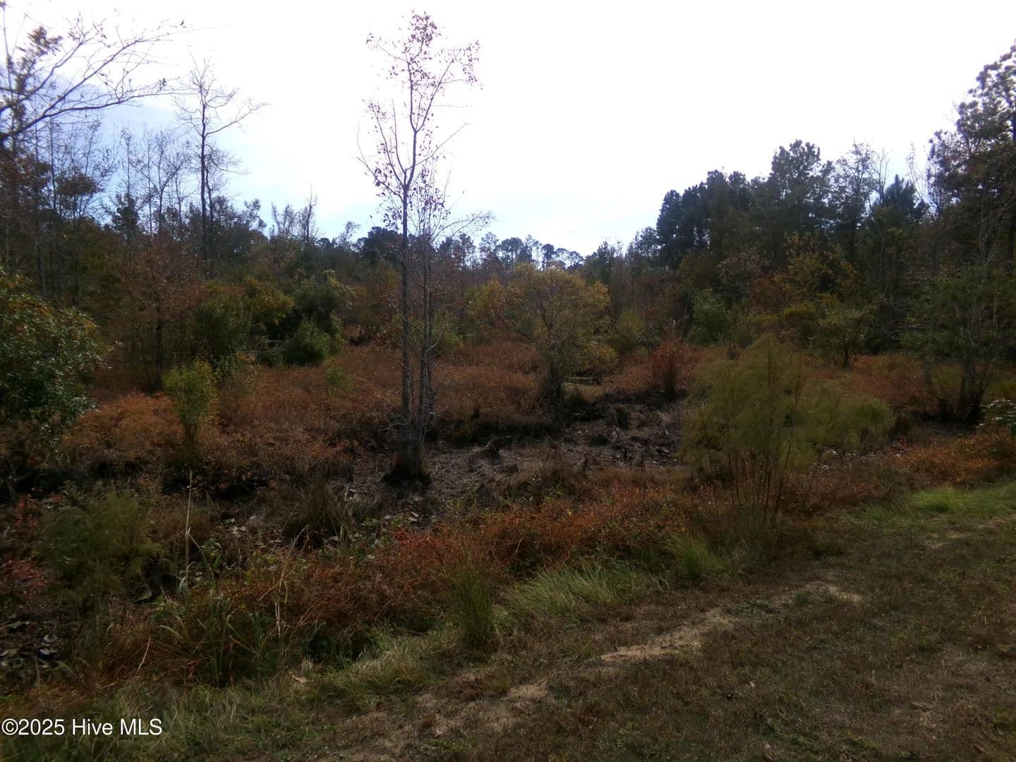 2.97 Acres of Land for Sale in White Oak, North Carolina - White Oak, North Carolina, 28399
