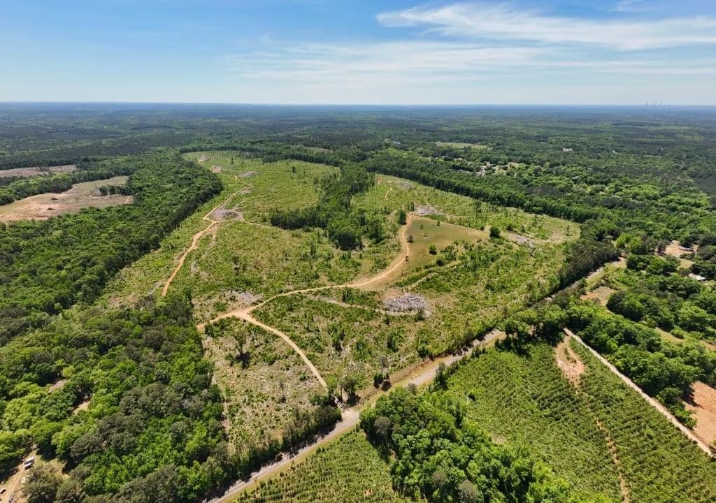 Jasper Co. Hunting Tract - Hillsboro, Georgia, 31038