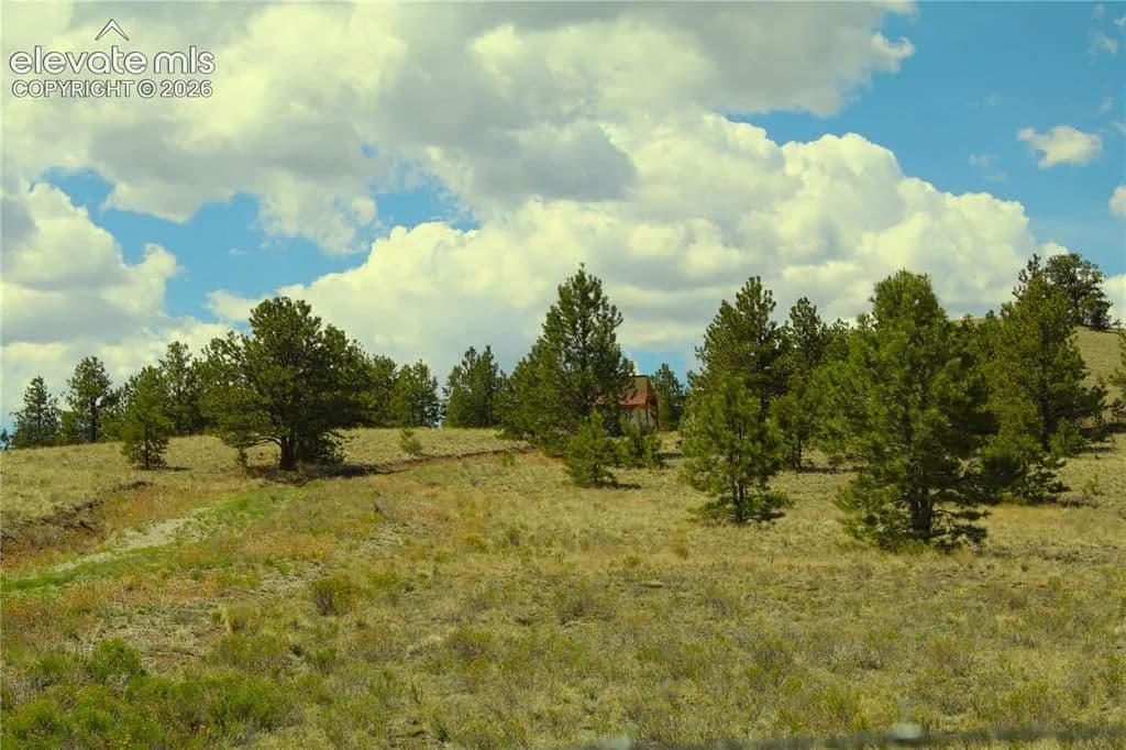 38.8 Acres of Land for Sale in Hartsel, CO - Hartsel, Colorado, 80449
