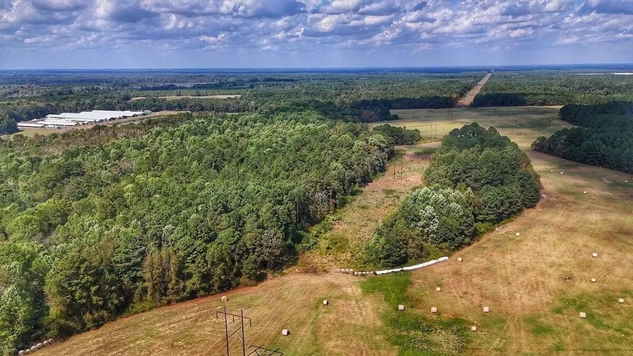 UPDATED!! 18 Acres of Recreational Land for Sale in Bladen County, NC! - White Oak, North Carolina, 28399