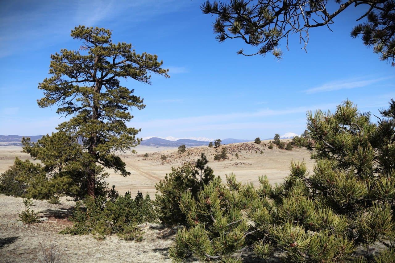 Hidden Meadows Ranch - Hartsel, Colorado, 80449