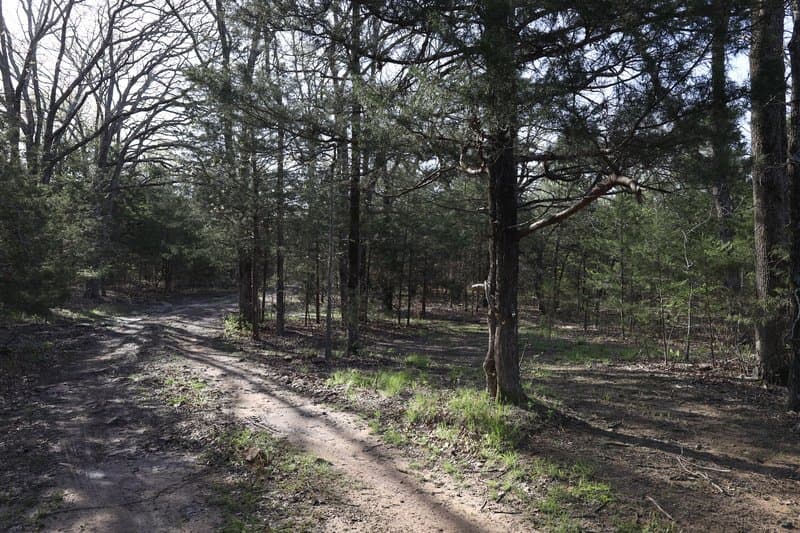 Deep Branch Creek 735 - Webbers Falls, Oklahoma, 74470