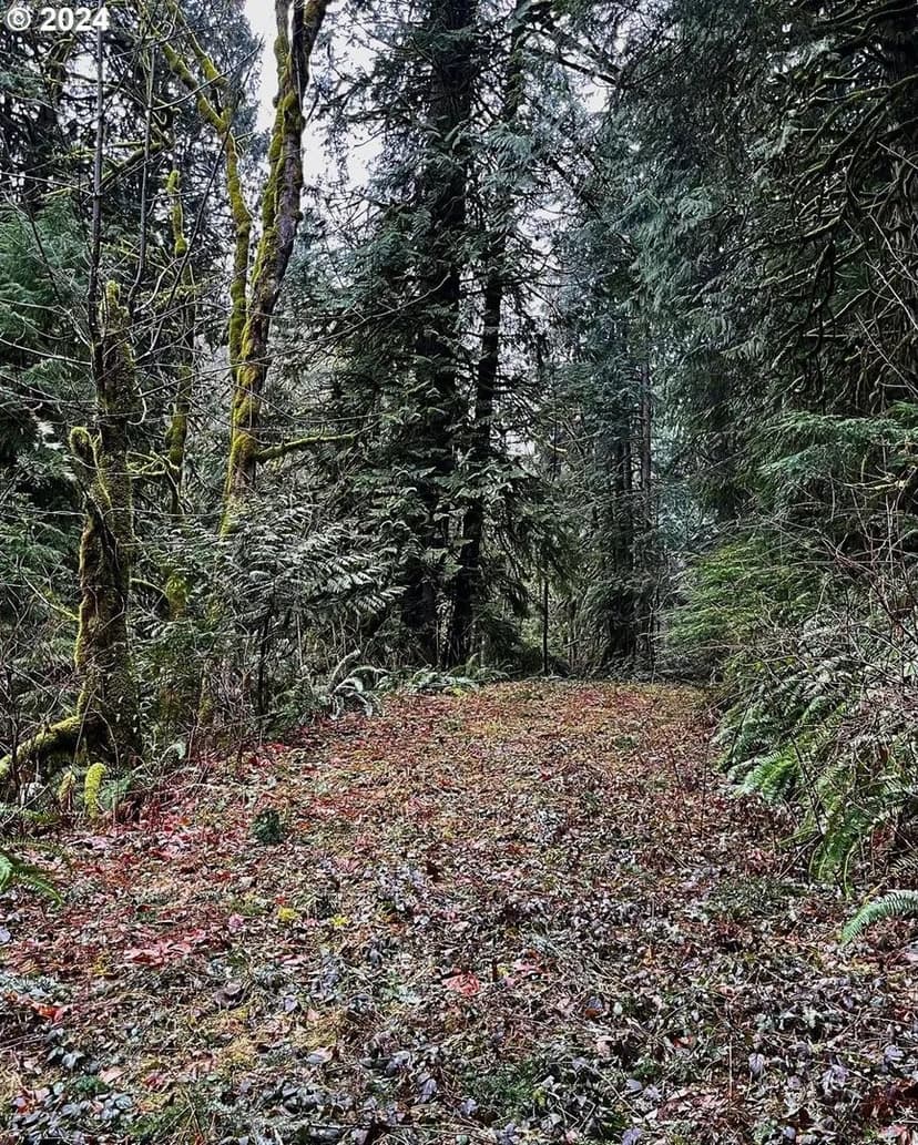 Lots & Land-Other in Washougal
