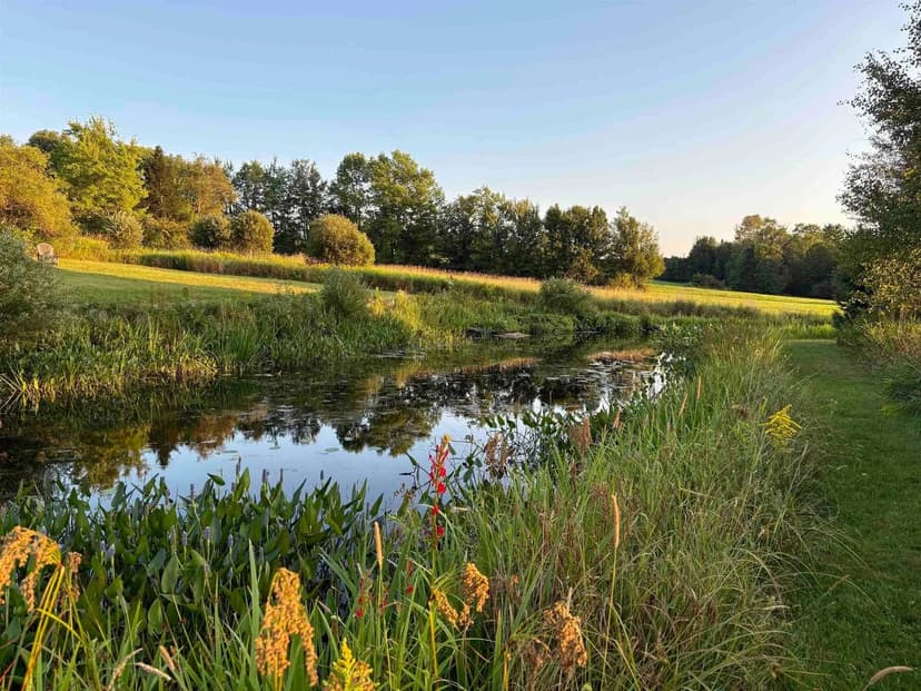 Lots & Land-Other in Hyde Park