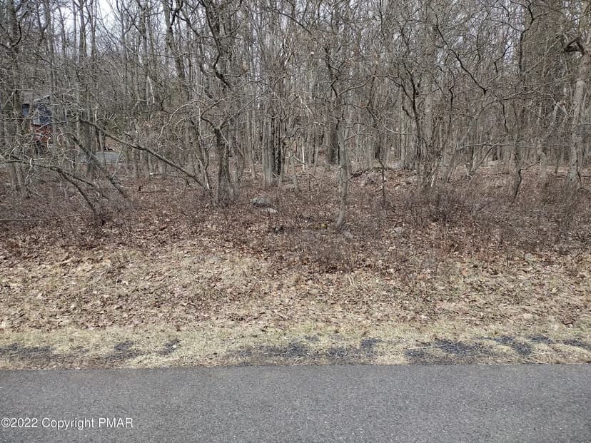 Lots & Land-Other in Blakeslee