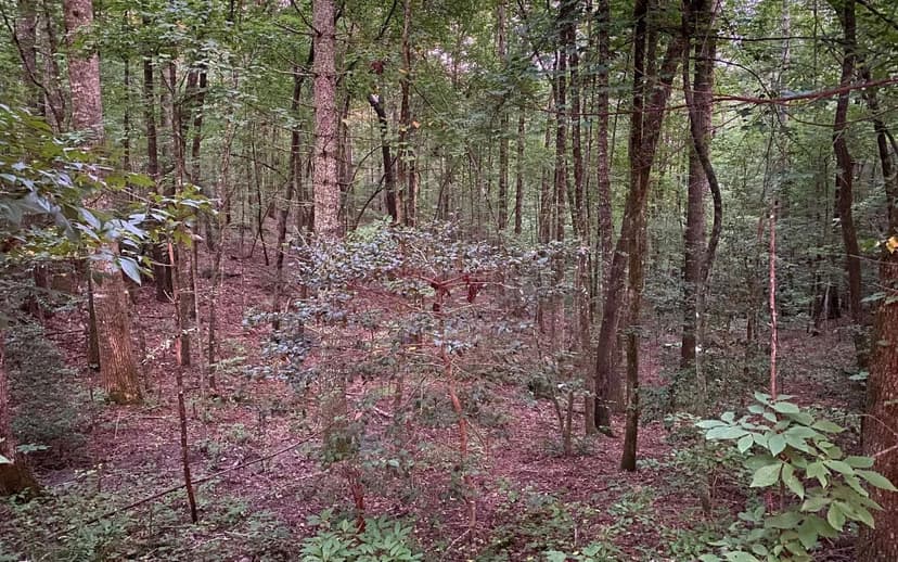 Lots & Land-Other in Ellijay