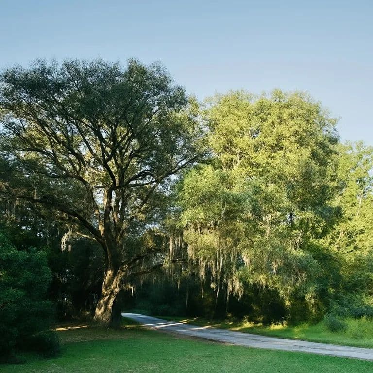 Lots & Land-Other in Townsend