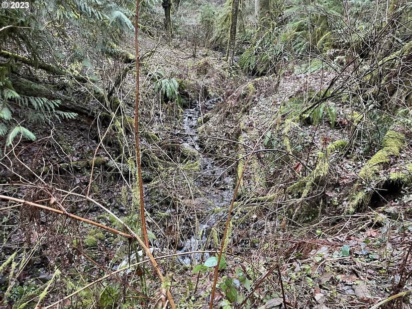 Lots & Land-Other in Washougal