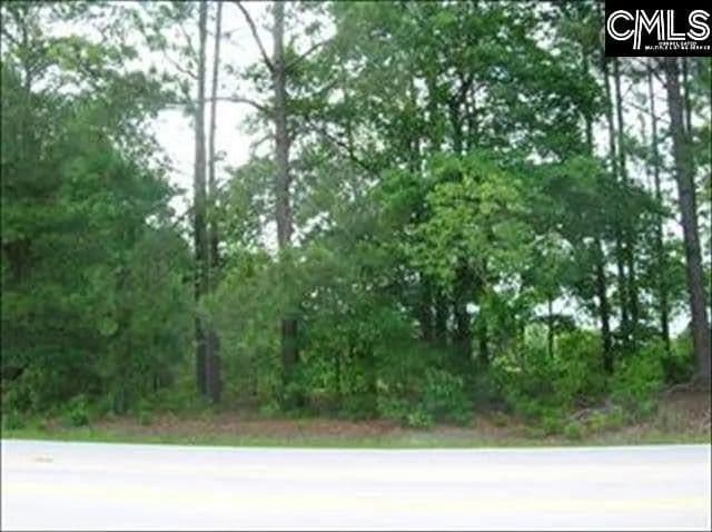 Lots & Land-Other in Blythewood