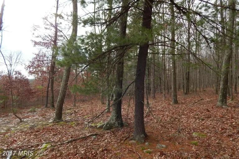 Lots & Land-Other in BERKELEY SPRINGS