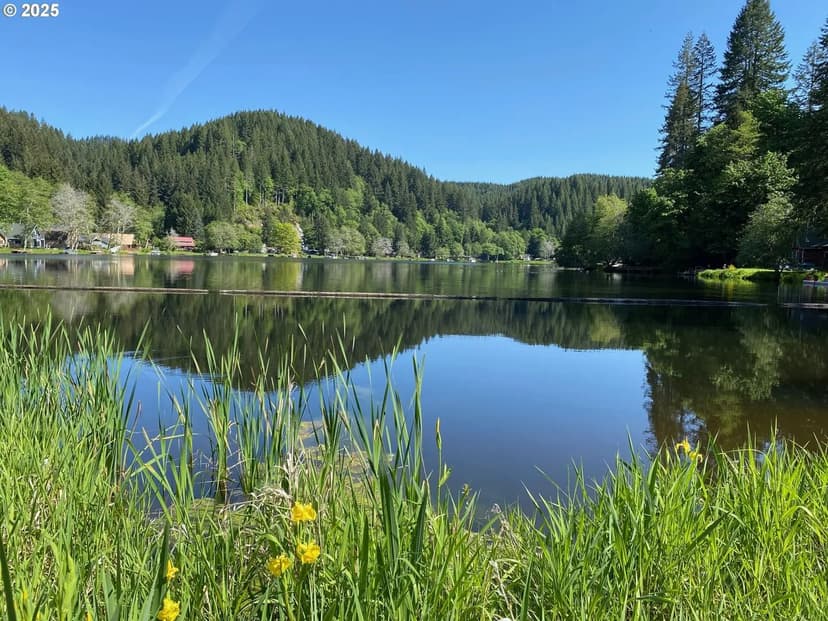 Vacant Land in Birkenfeld