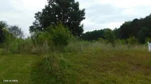 Lots & Land-Other in Goldsboro