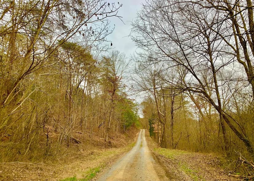 Lots & Land-Other in Chickamauga