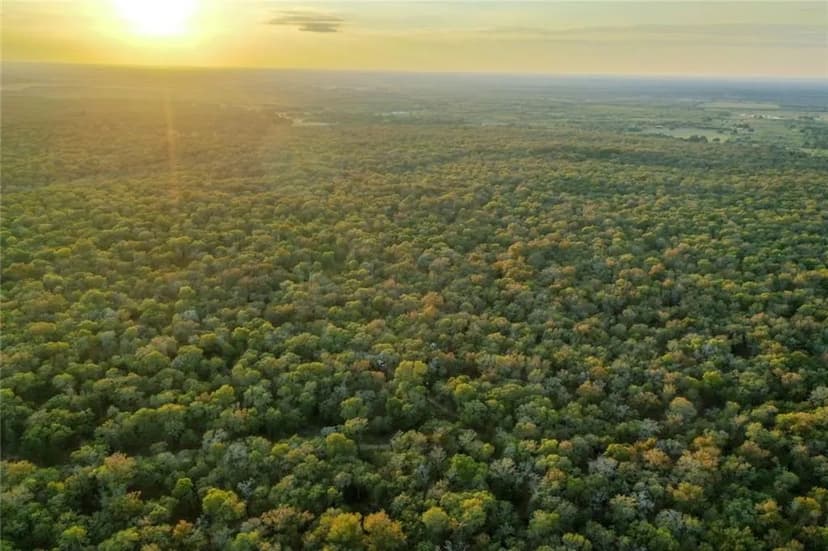 Property from 000 Wilcox Road - KW