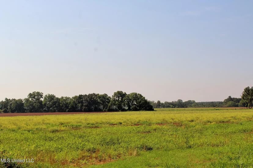 Lots & Land-Other in Lucedale