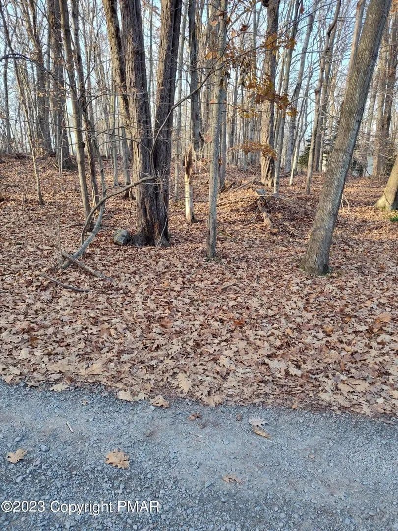 Lots & Land-Other in Pocono Lake