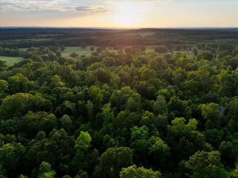 8 S 4430 Road Vinita, OK 74301