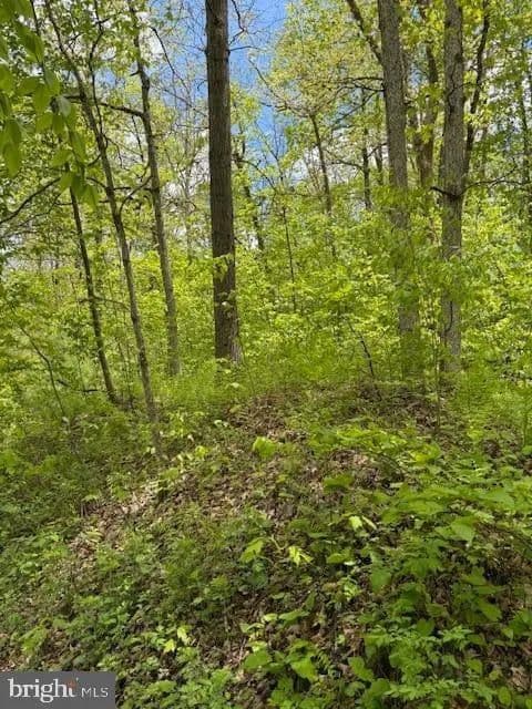 Lots & Land-Other in CLARENCE