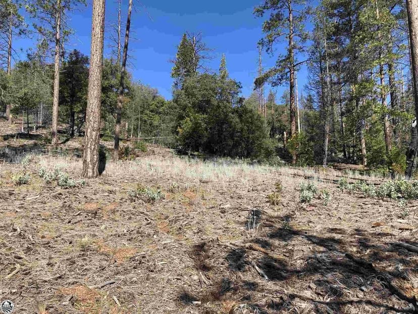 Lots & Land-Other in Groveland