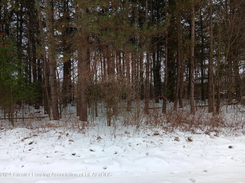 Vacant Land in Pleasant Lake