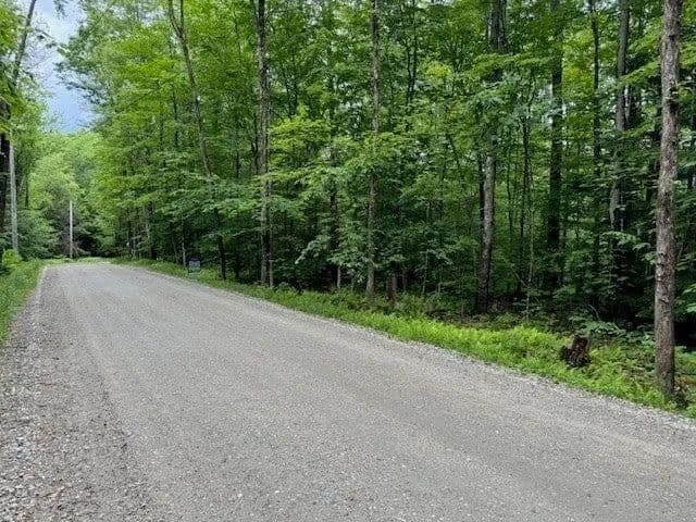 Lots & Land-Other in Rowe