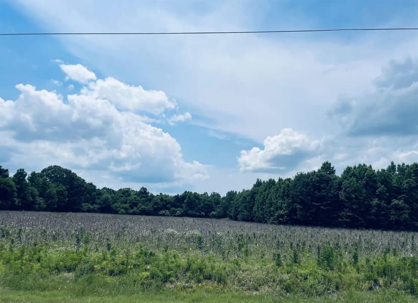 Land -Single Family Acreage in Athens