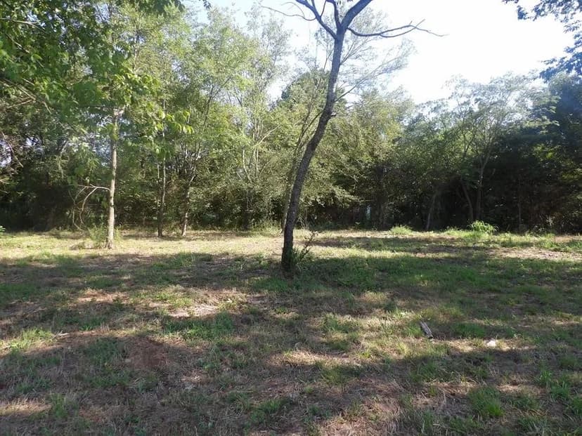 Vacant Land in Lamar