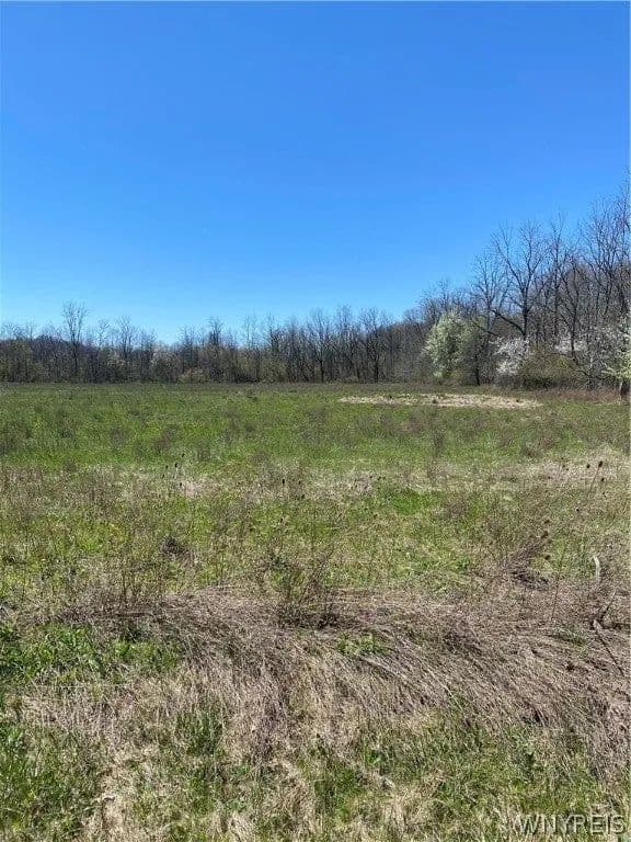 Lots & Land-Other in Lockport