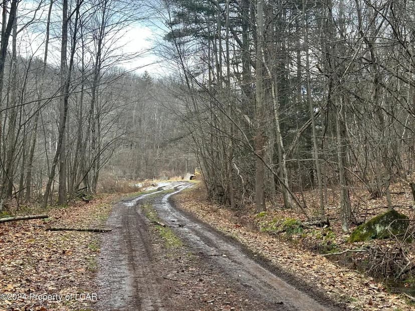 Lots & Land-Other in Noxen