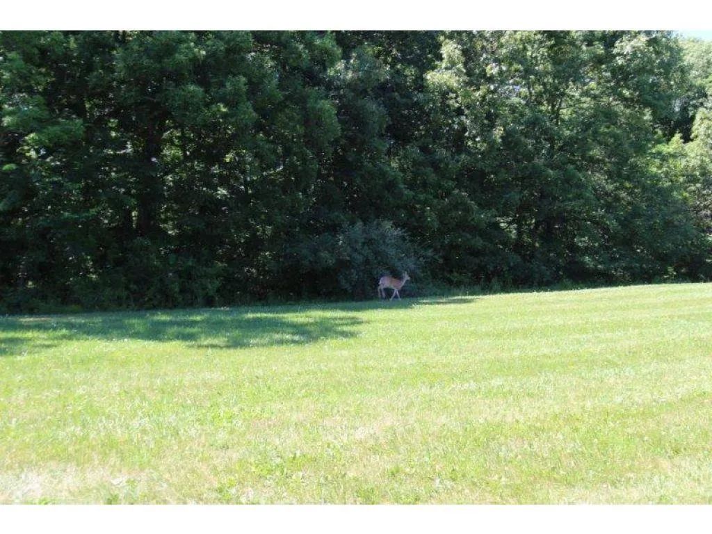 Vacant Land in Charleston