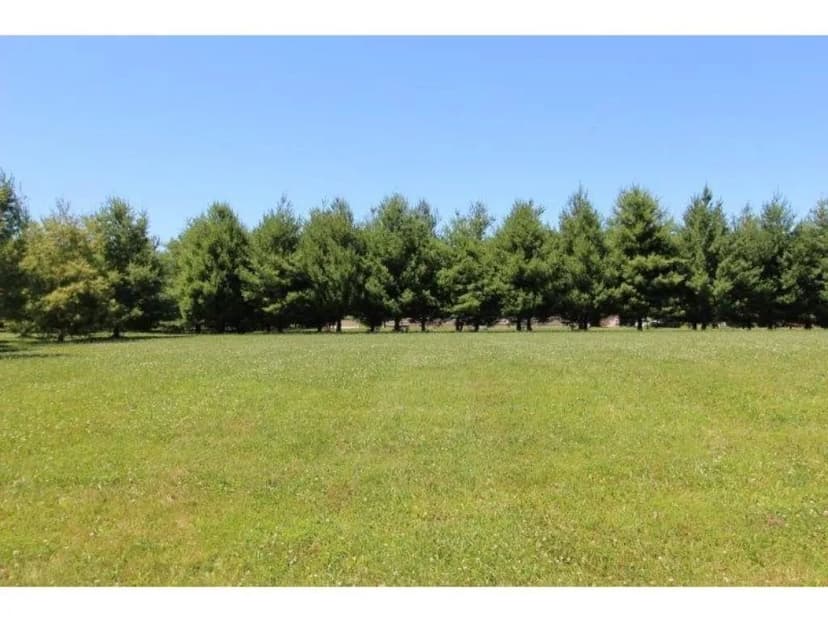 Vacant Land in Charleston