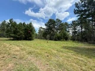 Vacant Land in DeFuniak Springs