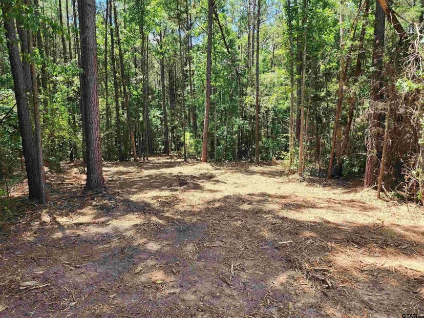 Lots & Land-Other in Hughes Springs